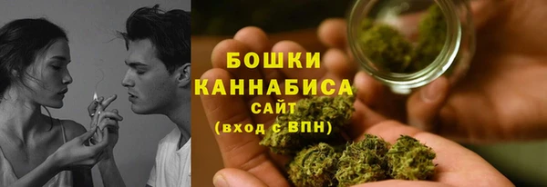 прущий лед Бронницы