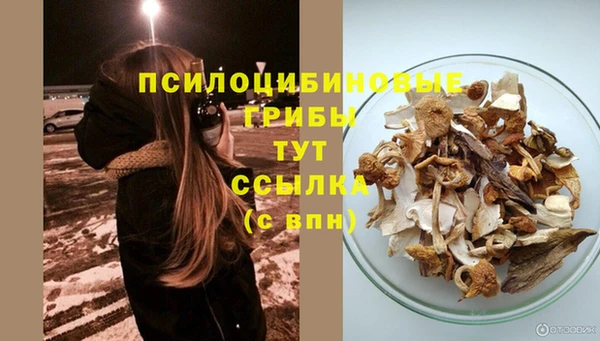 альфа пвп Верхнеуральск